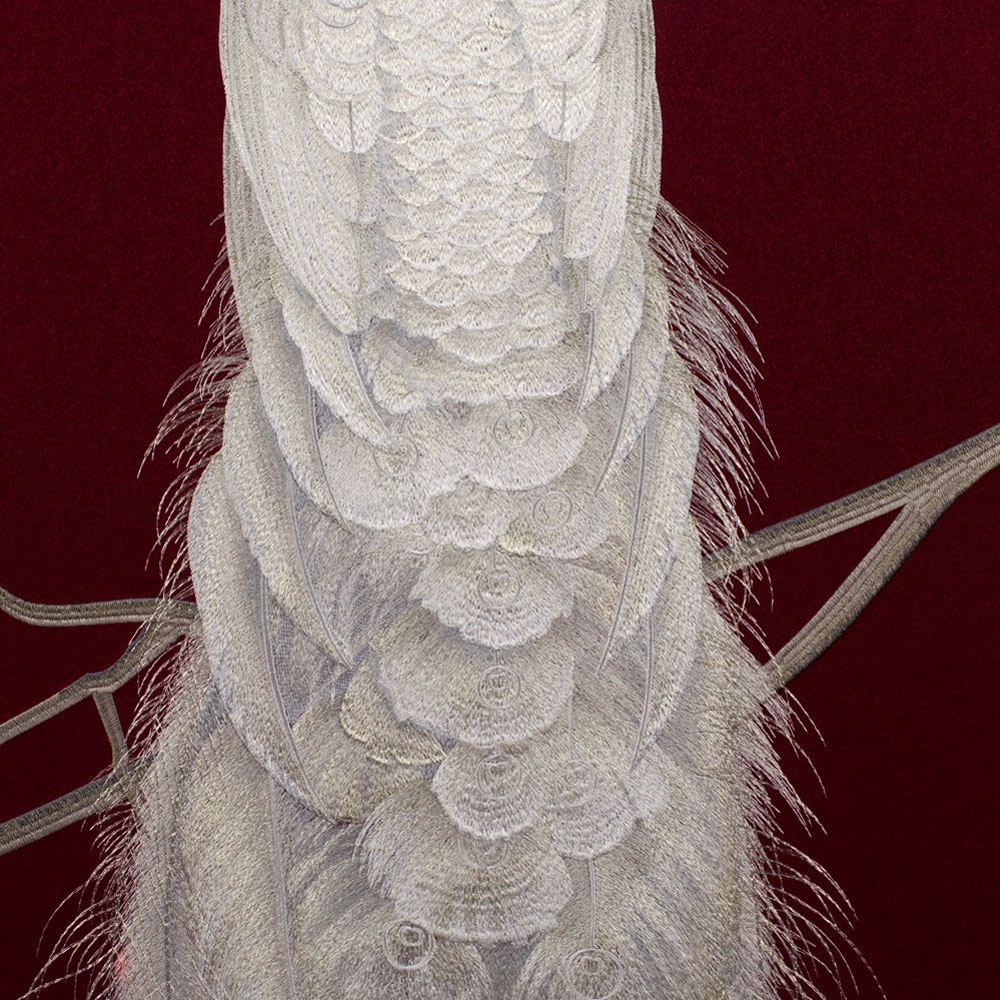 Grand Chinese Silk Embroidery of White Peacock Frame