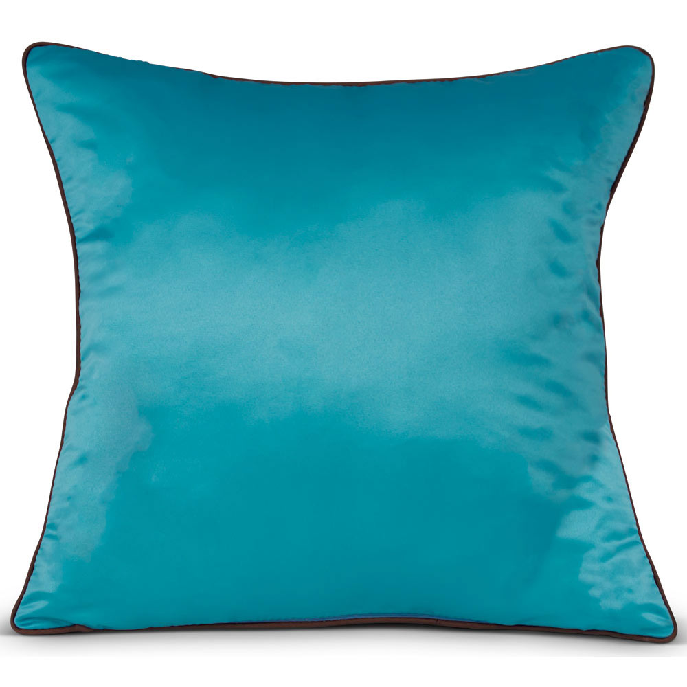 Aqua Blue Embroidered Longevity Motif Chinese Silk Pillow