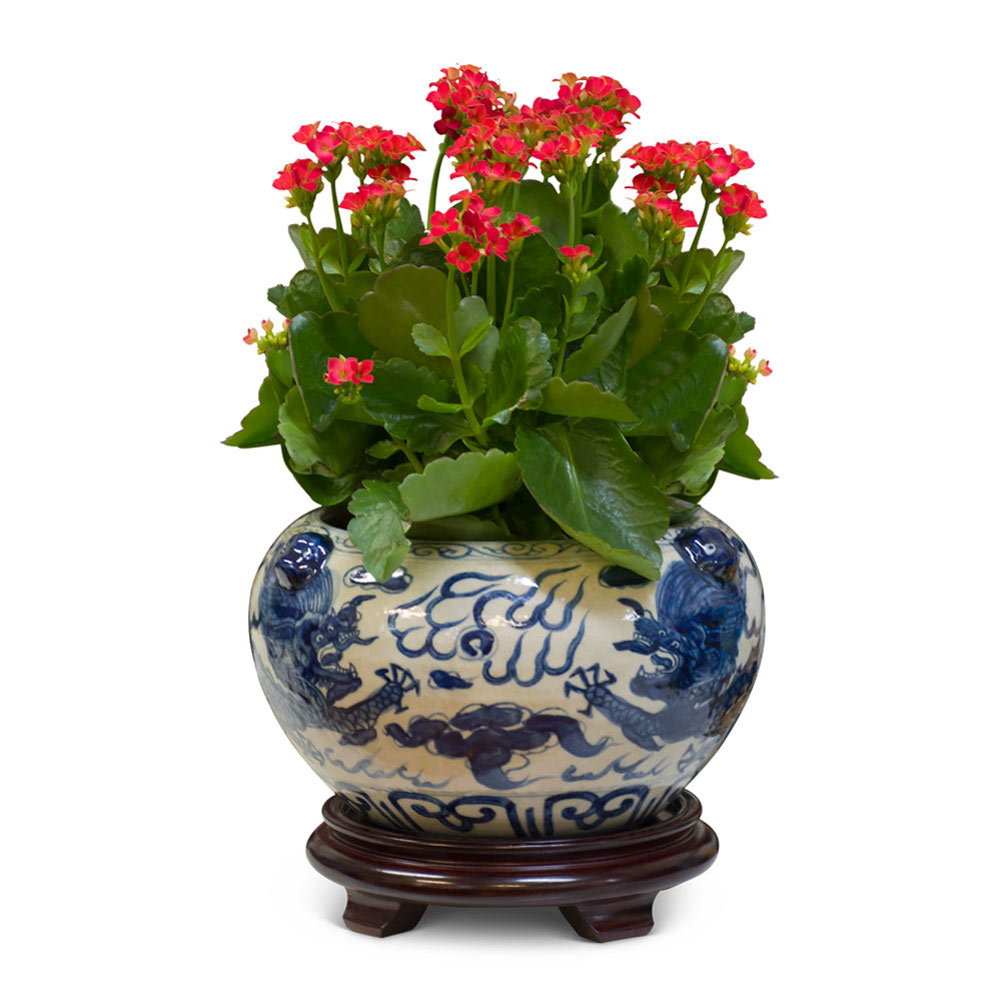 Blue and White Porcelain Double Dragon Asian Planter