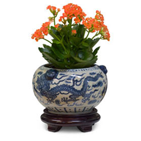 Blue and White Porcelain Double Dragon Asian Planter