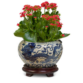 Blue and White Porcelain Double Dragon Asian Planter